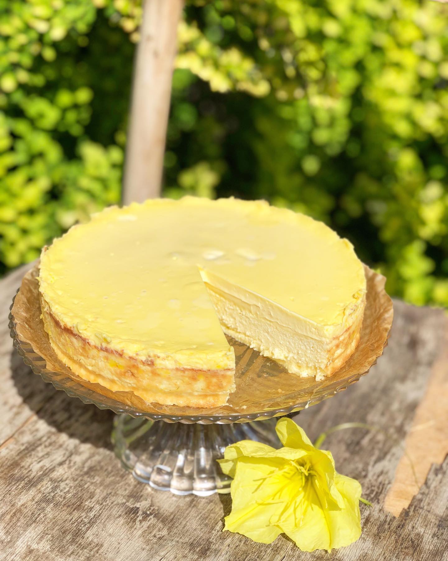 Ця запіканка схожа на торт - ніжна і неймовірно смачна двошарова сирна запіканка на сніданок