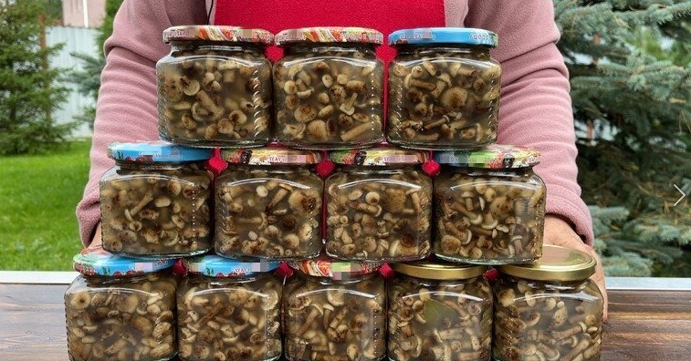 Мариную опеньки, як вчила бабуся! Показую, як приготувати мариновані гриби на зиму у банках - смачний та простий рецепт!