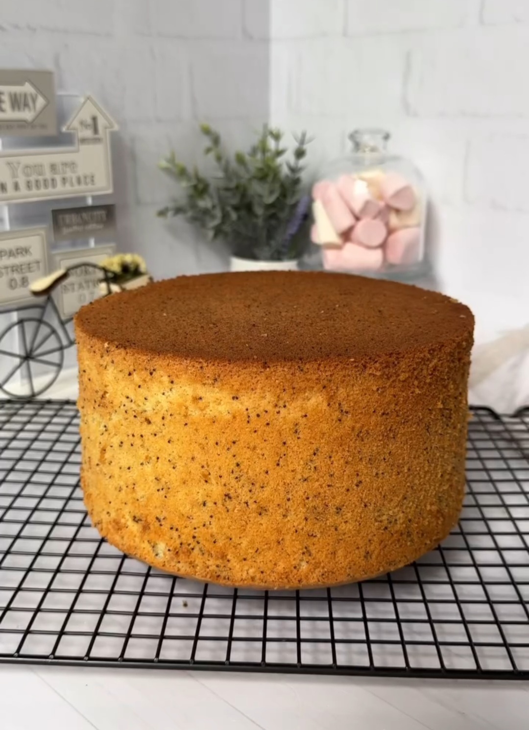 Ви просили, і я ділюся! Маковий бісквіт для тортів - пишний, повітряний, неймовірно смачний! Рецепт простенький, вдалий, перевірений часом!