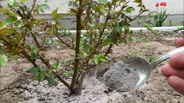 fb img 1751187627234