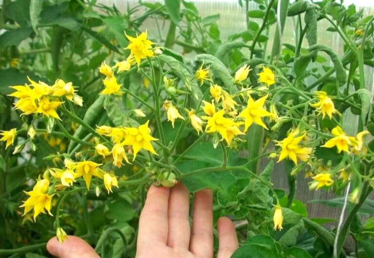 fb img 1751202211067