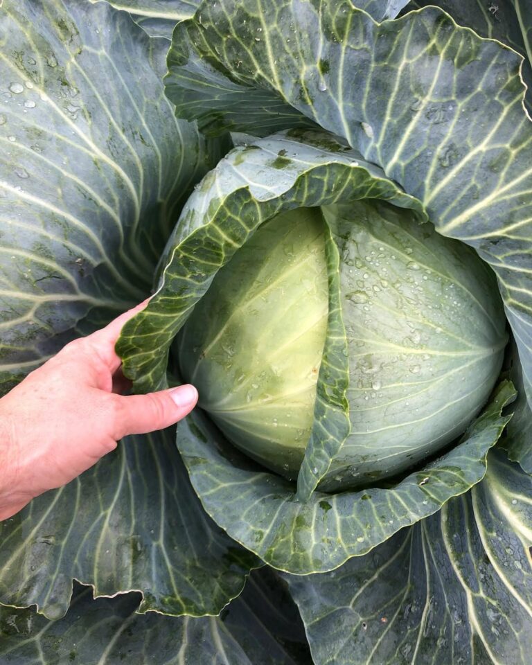 img 20250627 125322 265