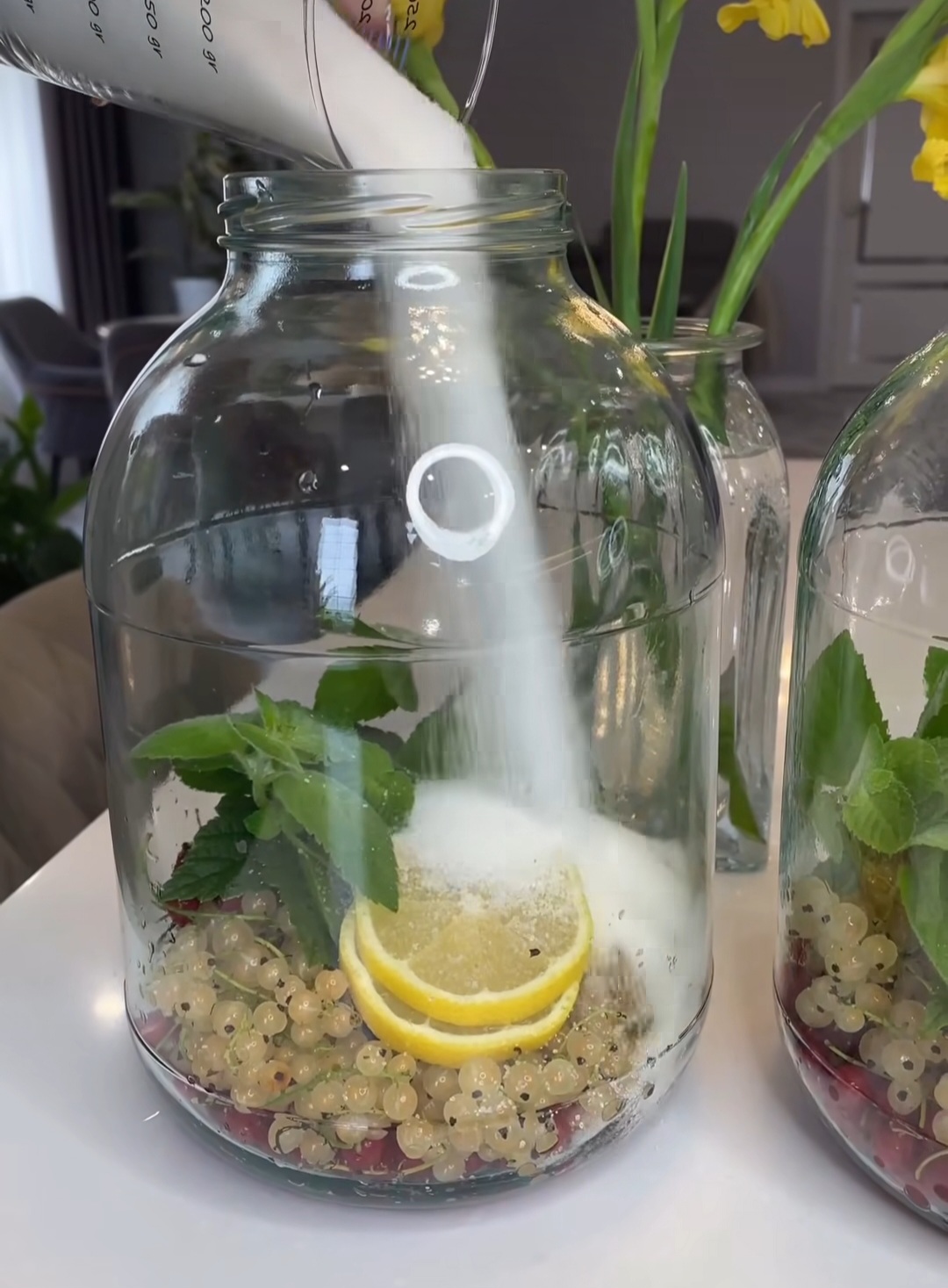 Мохіто з порічок на зиму! Цей компот найулюбленіший у нашій сім'ї, готується дуже просто, а виходить неймовірно смачно!