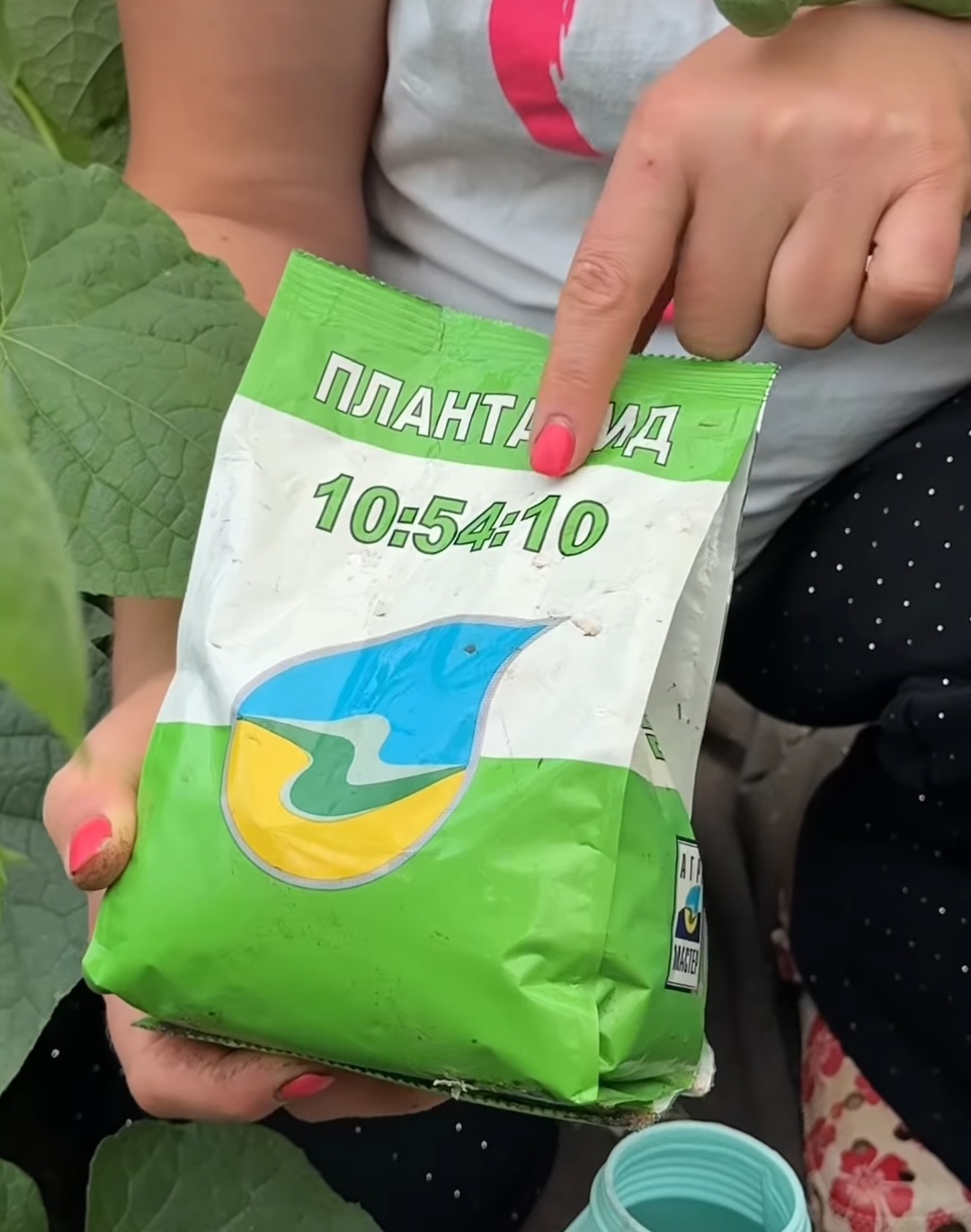 Огірочки посиплять урожаєм! Розказую чим я підкормлюю свої огірки і збираю їх тазами! Ви будете здивовані! + засіб, як вивести павутинного кліща з листочків!