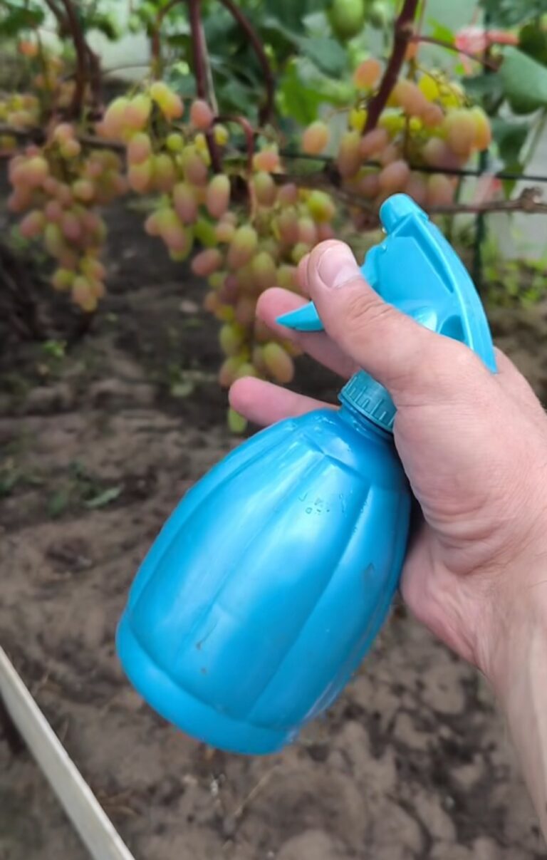 screenshot 20250728 110543 facebook