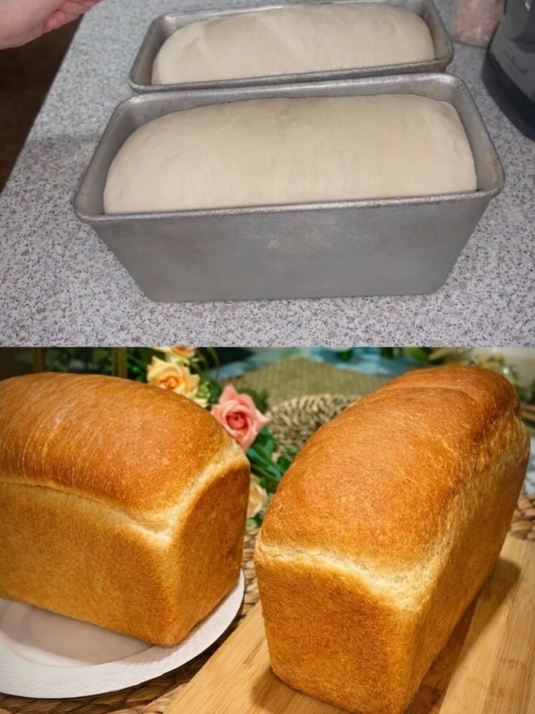 img 20260213 162641 621