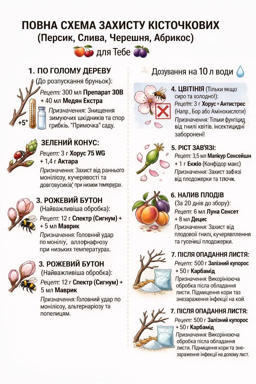 Повна схема обробки кісточкових саду на весь сезон - це корисно знати! Тому садоводи зберігайте собів копілочку!