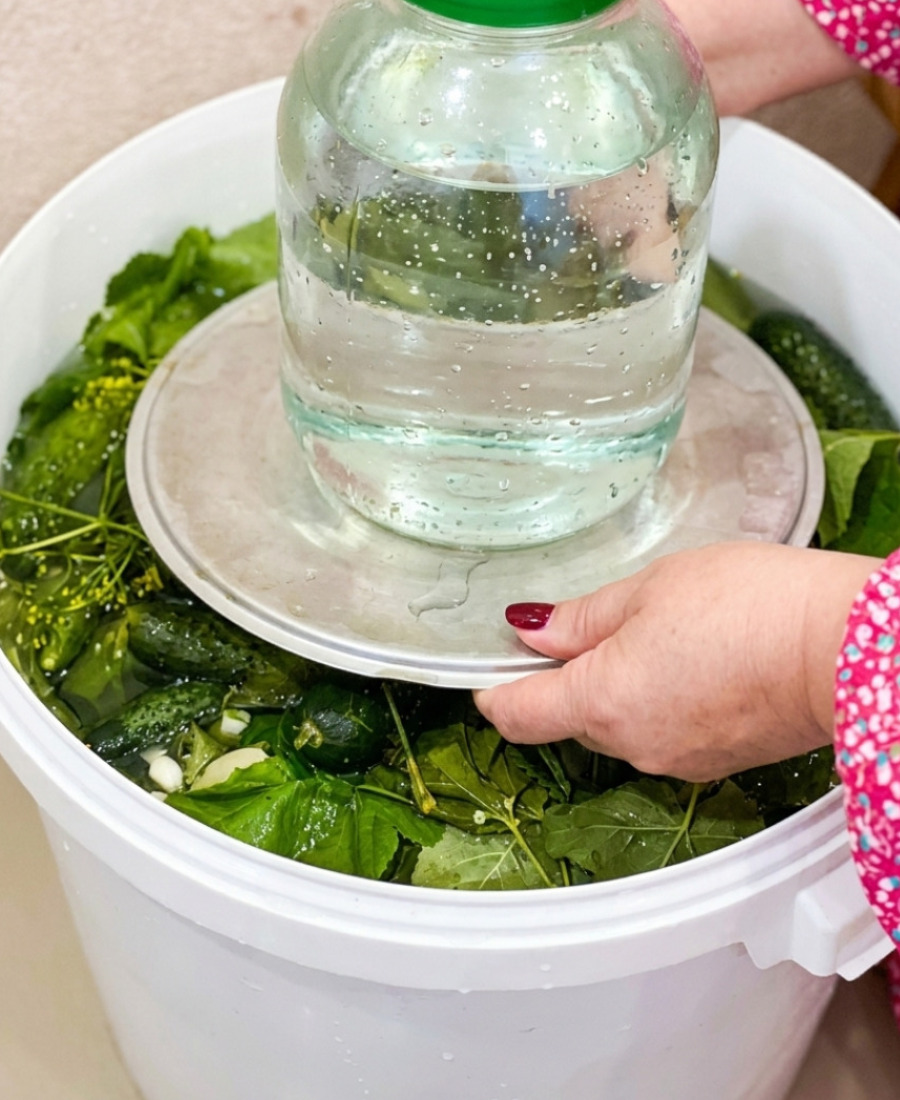 Бочкові огірки – рецепт найсмачніших, хрумких огірочків від моєї бабусі. Швидкий і простий спосіб!