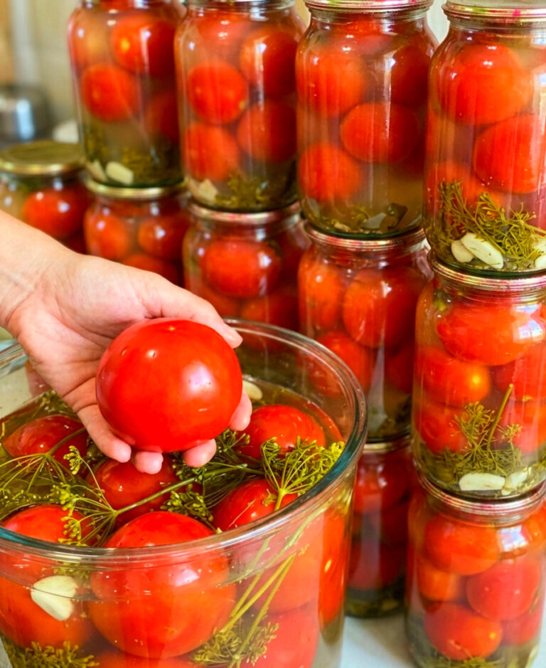 fb kvasheni pomidory na zymu yak z bochky neymovirno smachni i aromatni taki zavzhdy z idayutsya pershymy mozhna zberihaty navit v kvartyri 66576