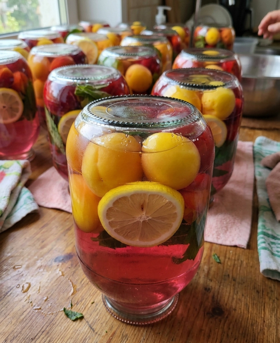 Неймовірний компот МОХІТО на зиму! Робіть побільше! Найсмачніша абрикосова фанта в домашніх умовах