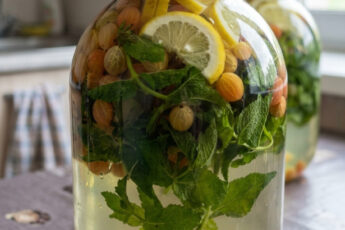 fb osvizhayuchyy mohito z agrusu na zymu za takym retseptom vyhodyt duzhe smachnym i bez hirkoty 119027