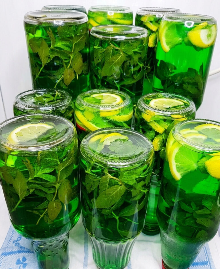 fb mohito na zymu hotuyu 6 litriv vidrazu hoch z m yatoyu hoch z melisoyu aromatnyy ta svizhyy napiy 115449