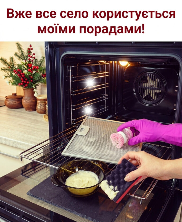 fb narodnyy zasib dlya chystky zabrudnen teper moya duhovka vyblyskue yak nova pokazuyu yak vidmyty kuhnyu bez dorohyh zasobiv 56559 1