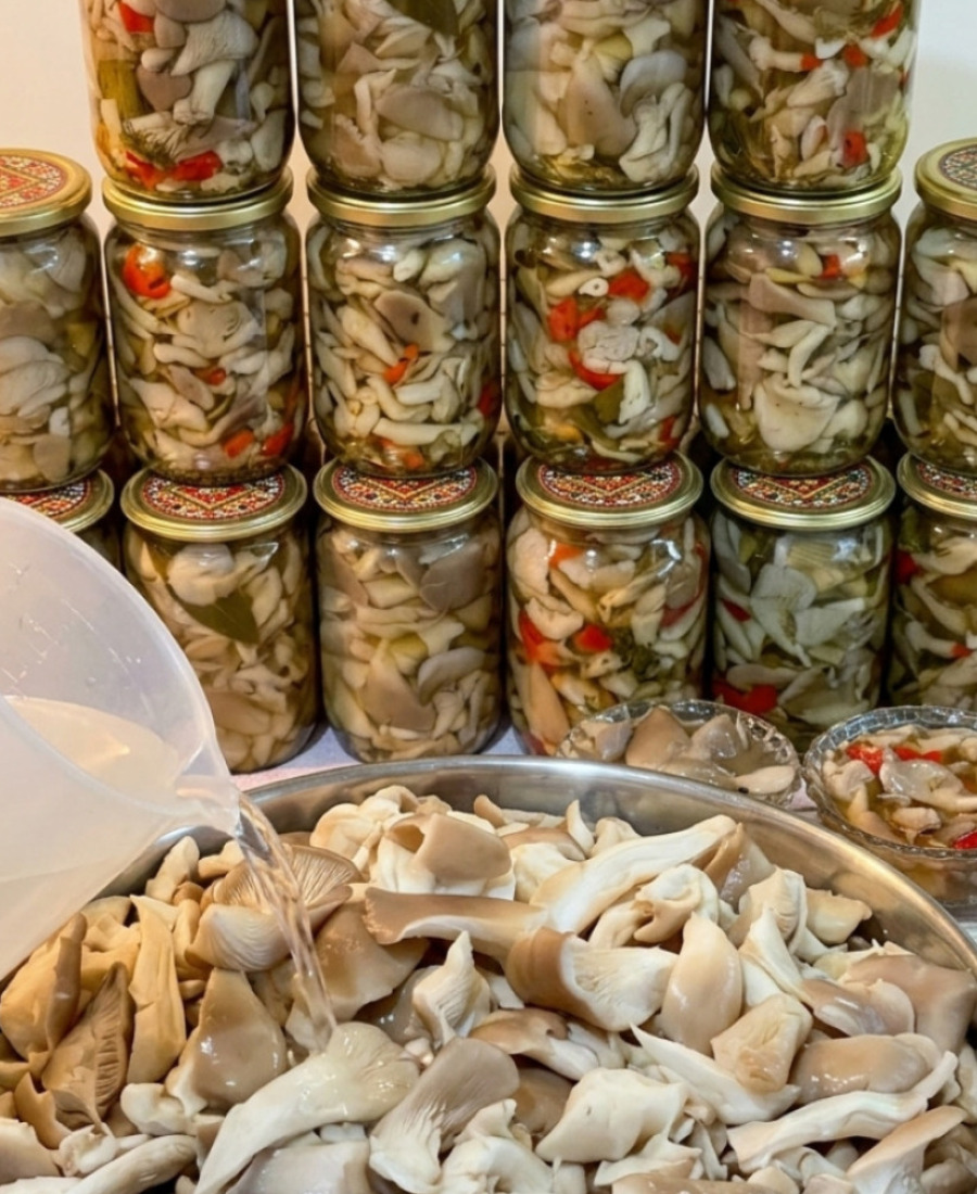 Мариновані ГЛИВИ на зиму. Ділюсь 2 способами приготування найсмачніших грибочків