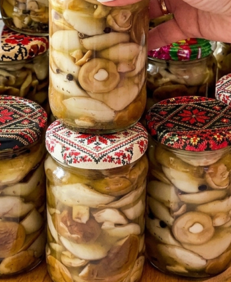 Не рецепт, а знахідка! Мариновані маслюки – ділюсь універсальним рецептом маринованих грибів на зиму